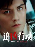 追凶行动(全集)